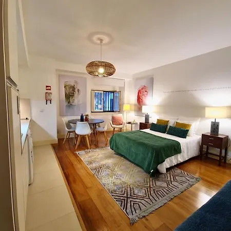 Modern Apartment & Garage Apartment